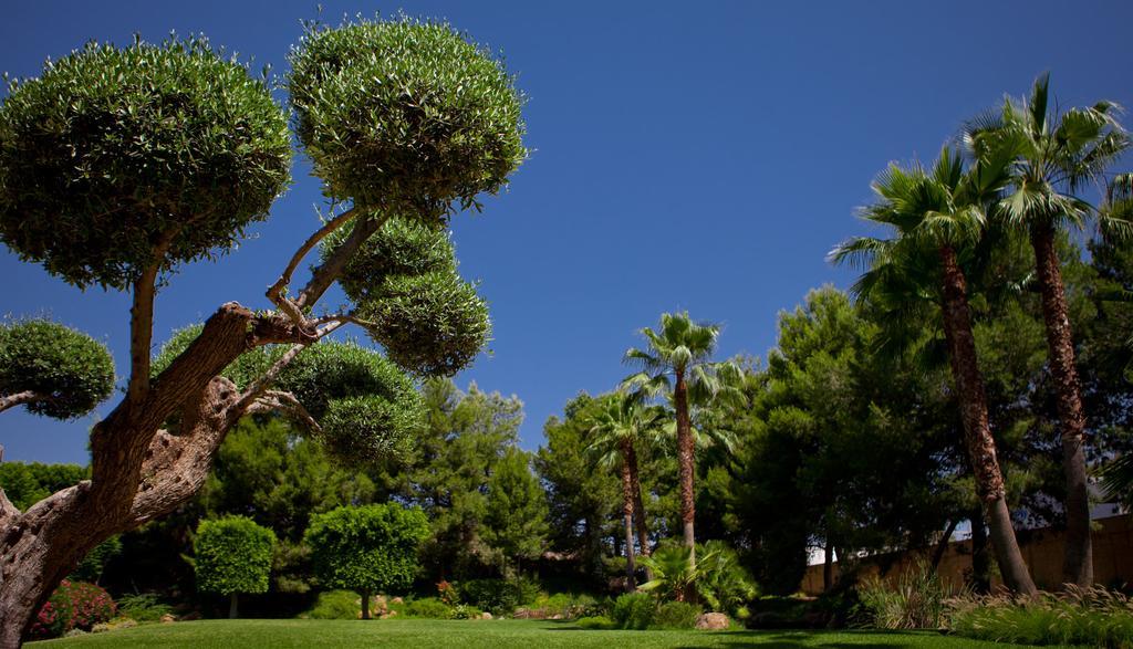 Jardines De Amaltea Ξενοδοχείο Lorca  Εξωτερικό φωτογραφία